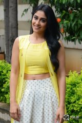 Regina Cassandra At Jyo Achyutananda Movie Success Meet